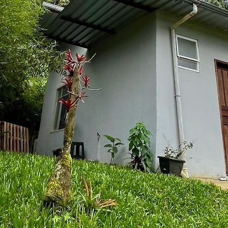 Apartament Casa Ha 15Min Centro/Itaipava Petrópolis Zewnętrze zdjęcie